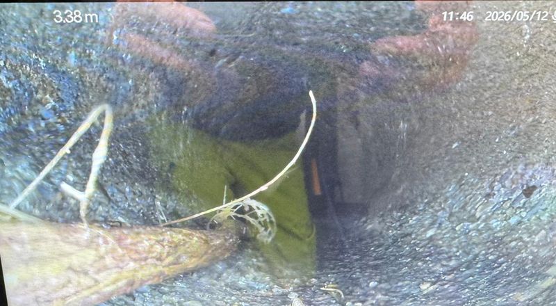 TV-Kamera-Aufnahme: Eingewachsene Baumwurzeln in einer Abwasserleitung, Zählerstand 3.38 Meter